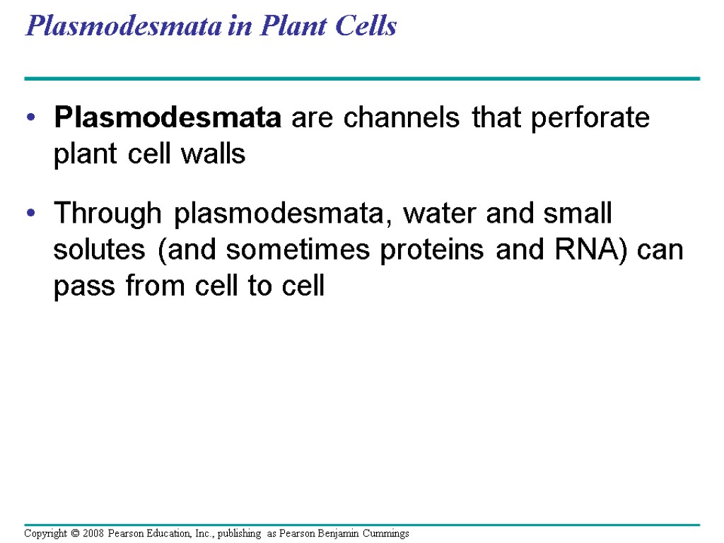 Plasmodesmata in Plant Cells Plasmodesmata are channels that perforate plant cell walls Through plasmodesmata,